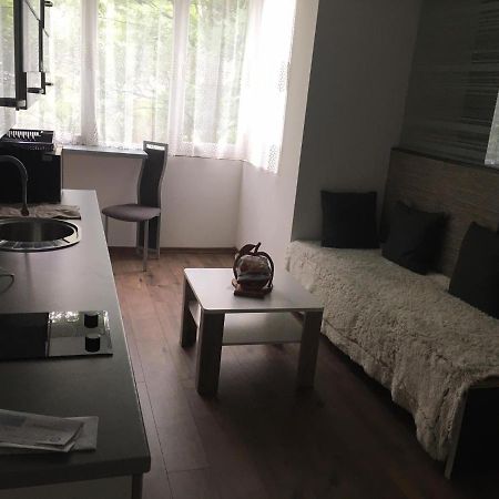 Apartment In The Center Of The Old City, Budzak 14 サラエヴォ エクステリア 写真