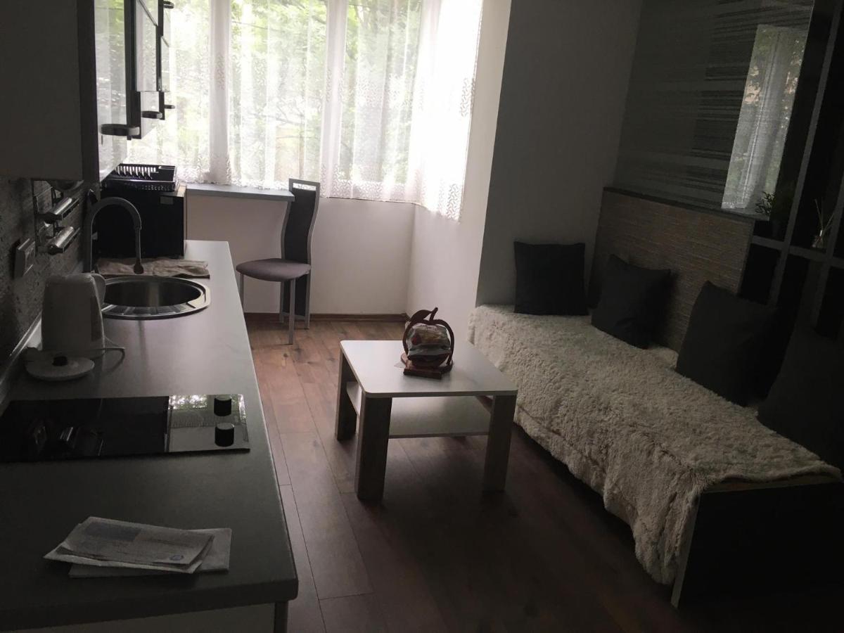 Apartment In The Center Of The Old City, Budzak 14 サラエヴォ エクステリア 写真